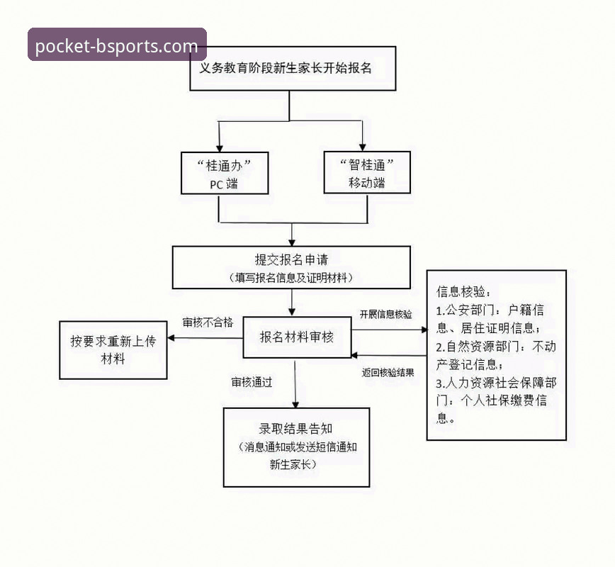 Bsports稳定服务安装与使用教程：从下载到投注全流程解析
